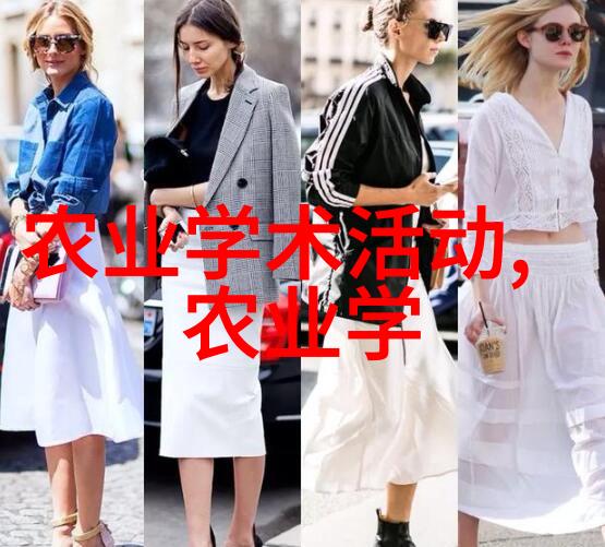 绿茶的魅力与艺术从普洱到龙井品味中国茶文化的深度
