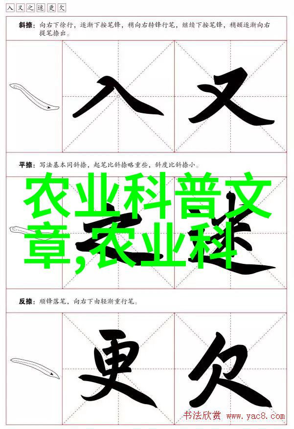 鲜花市场-探秘附近鲜花批发市场色彩斑斓的生意与乐趣