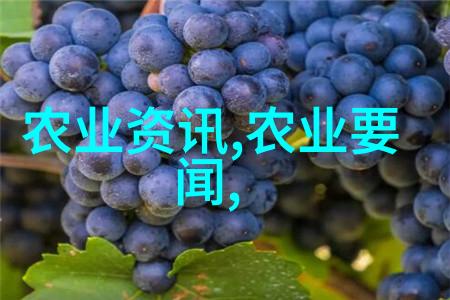 花海之旅探索花卉种植的艺术与科技