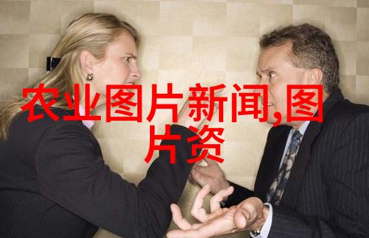 探索宠物行业的多元化从动物行为学到宠物美容
