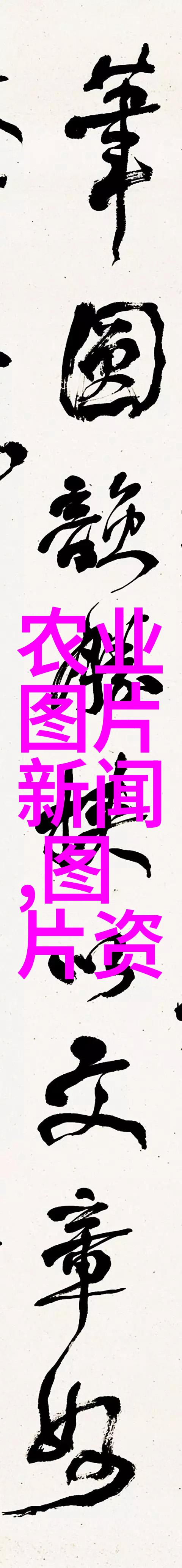 法律大全10000条-解读法律大厦深度剖析法律大全10000条的智慧与实用