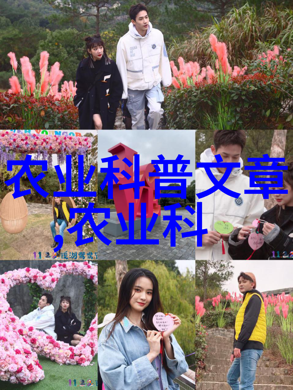 盆栽木本花卉大全选择合适的盆栽植物