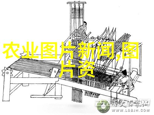 小尾寒羊养殖技术视频-精准饲养提升小尾寒羊生产力与经济效益的技巧