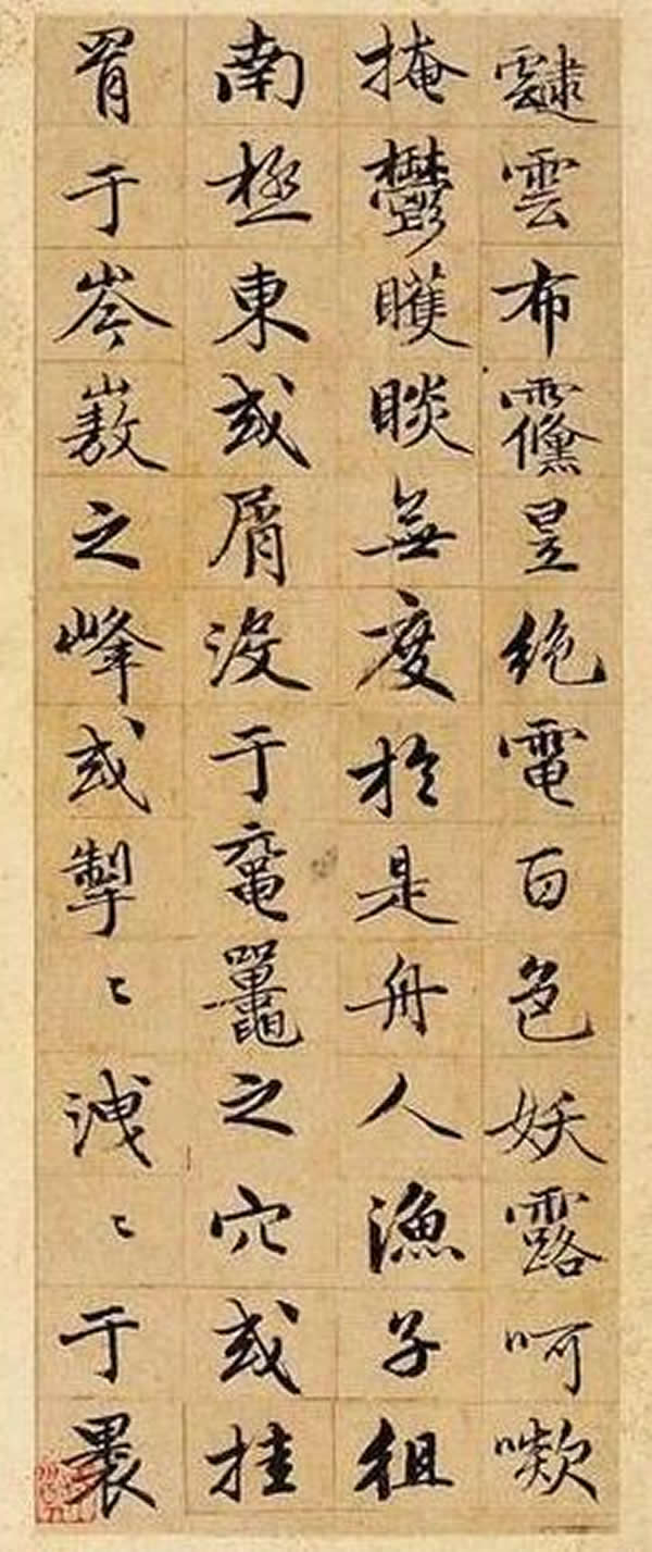 野生金线莲的绚烂盛放捕捉自然之美的瞬间