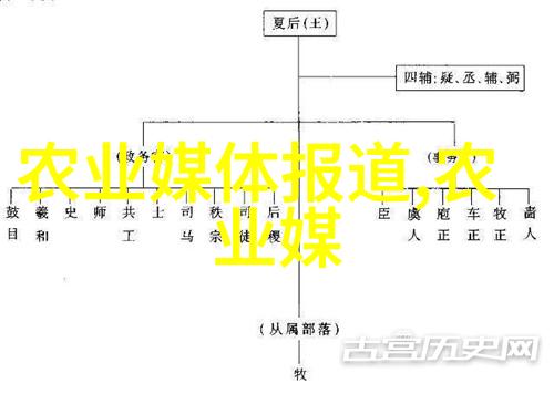 一壶热气多重好处茶水对身体各系统有何具体影响和改善