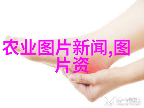 泡一壶享生活为什么我们需要学习泡茶技巧