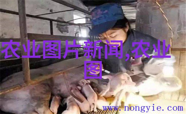 选择合适的花卉种子了解不同植物的特性