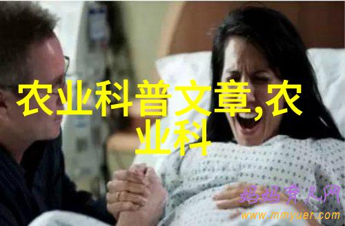 多年生草本花卉种植指南如何选择和养护耐旱耐寒的室内外花卉
