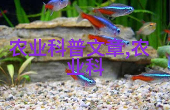 滋补归来十大养胃茶之谜