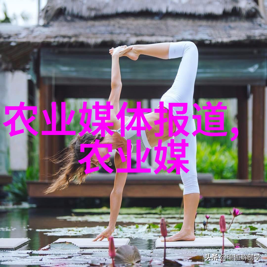 种植什么药材效益好我要告诉你一个秘密药材园里的金子