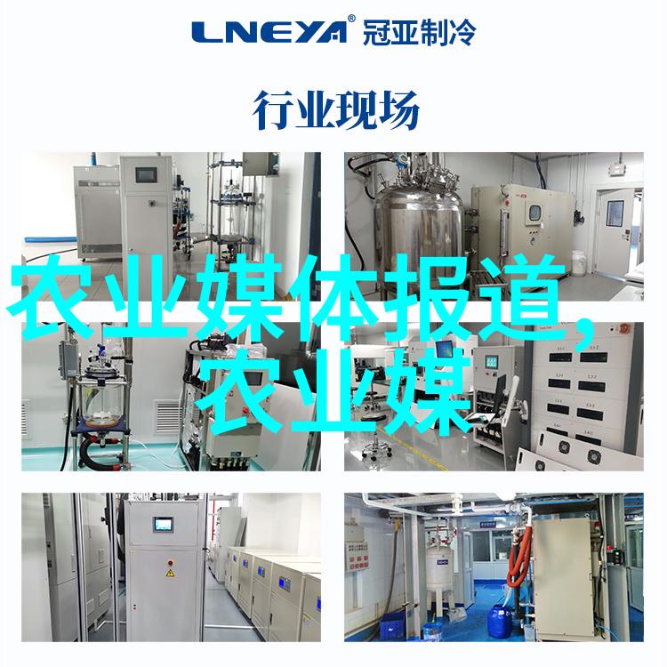 羊群里的幽默大师养羊的那些趣事