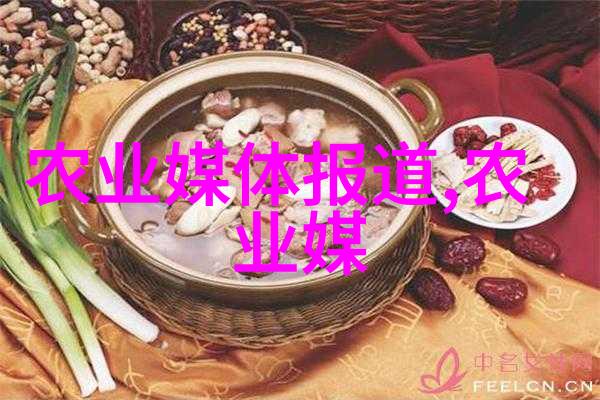 鸡爪槭价格大揭秘10公分的小宝贝到底值多少钱