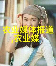 嗜好者必读探索不同地区5脾蜂数量对白糖需求变化的影响因素