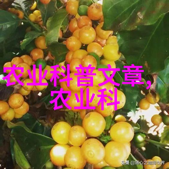 娇纵成瘾揭秘现代青少年的溺爱与依赖