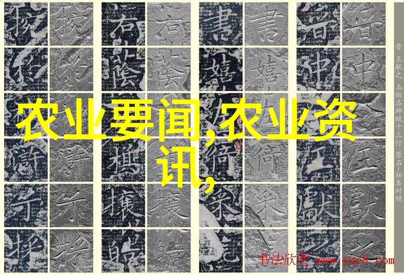 烹饪中应用的五种常见香料与其搭配建议