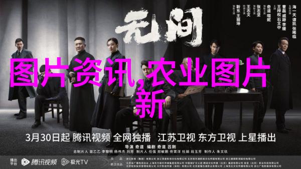马齿苋之谜探秘这片绿意盎然的草本药王