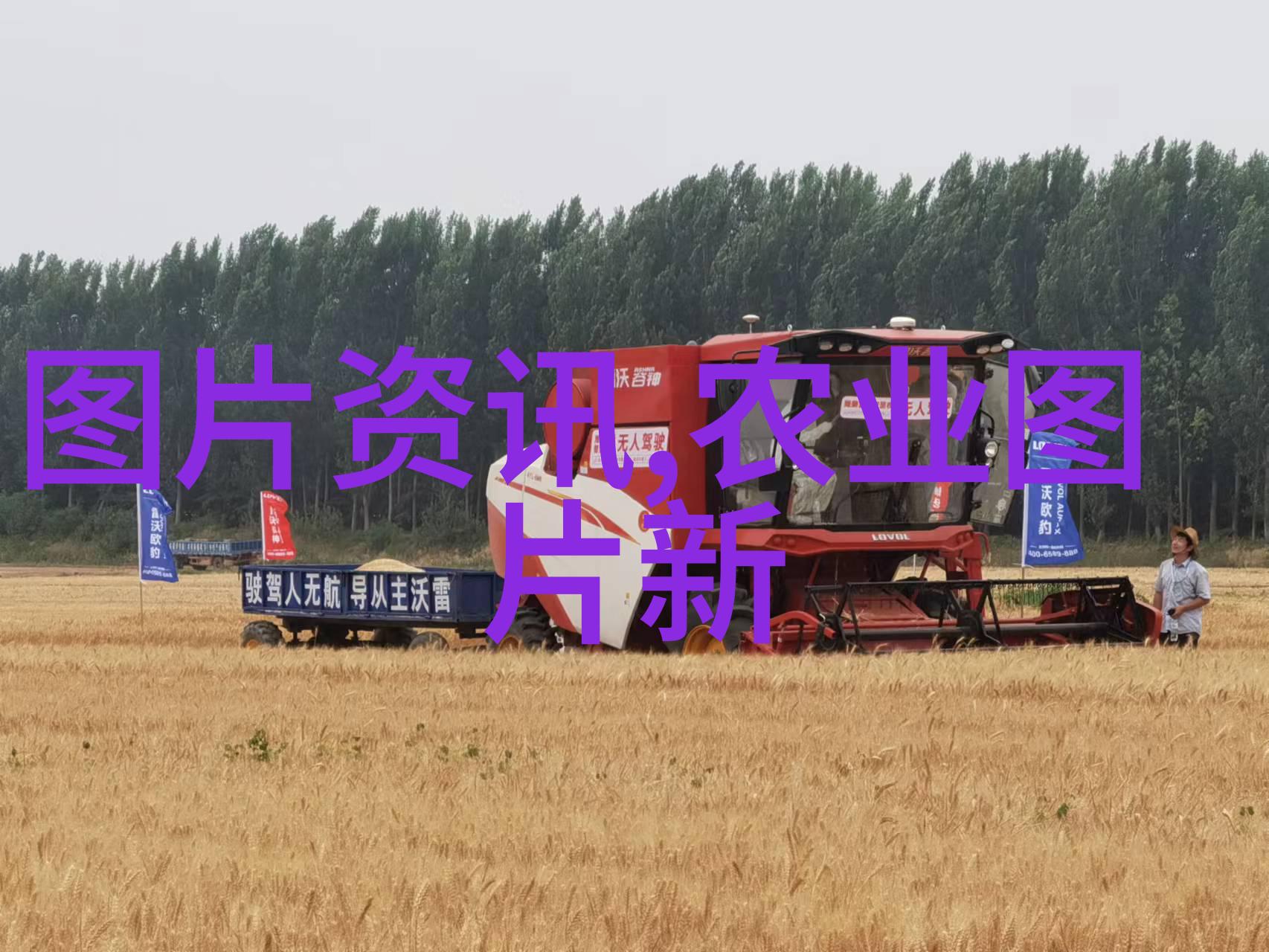 最近一闻大事件我亲眼见证了城市中最震惊人心的变故