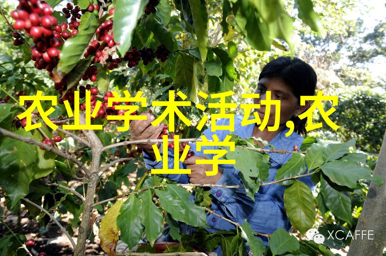 土洞养蜂技巧解析创造自然生态的蜜蜂家园
