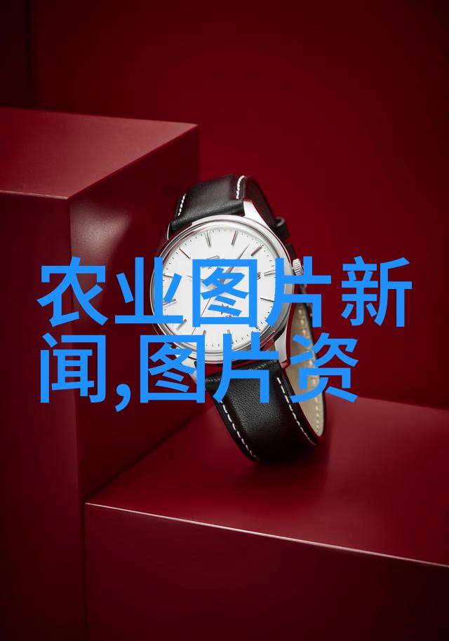 藏粮于地稳总产 藏粮于科技促高产