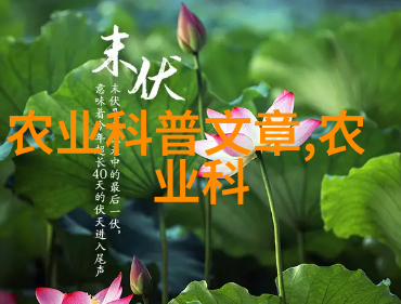 湖北鑫希望药材种植绿色生态与传统医学的和谐共融