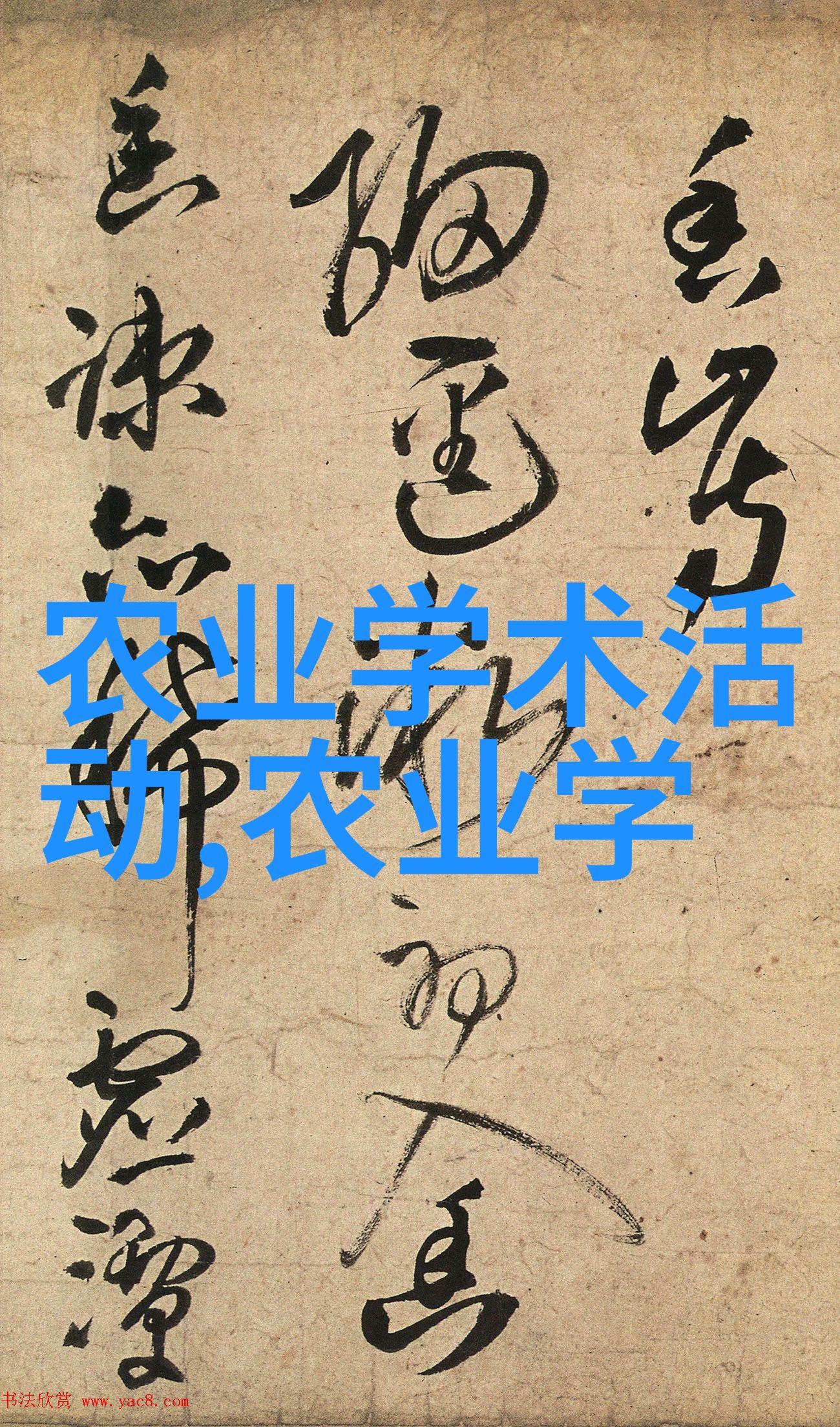 英语学习软件-掌握英语必备今天晚上让你桶个够的软件