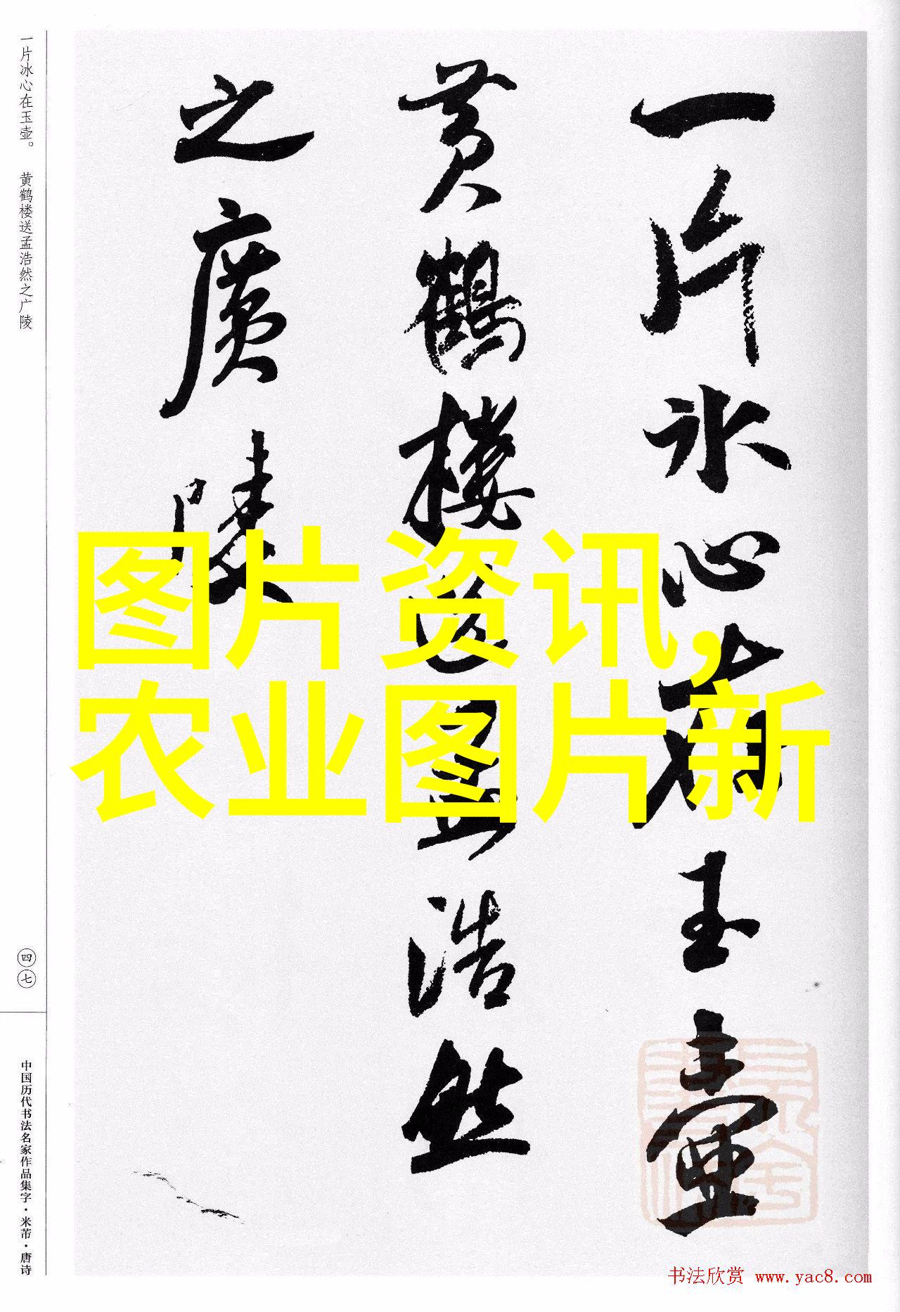 家庭客厅养什么花好温馨舒适的室内绿化选择
