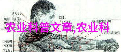 禽类养殖资讯-鸡群健康管理与疾病预防的实用指南