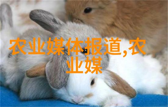 哪种药材利润高好种植我来给你盘点这些爆款中药材的赚钱潜力