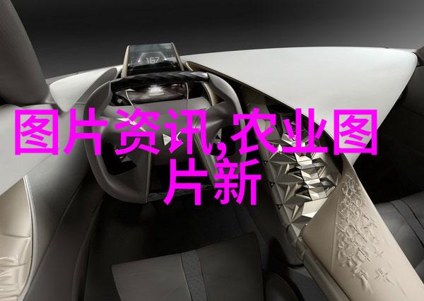 新兴市场对于全球大蒜供应链的作用有多重要