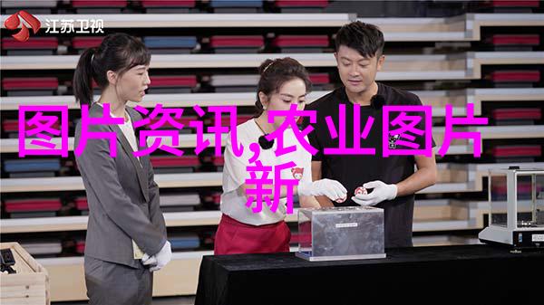 美味风华探秘国语版食神美女的烹饪艺术