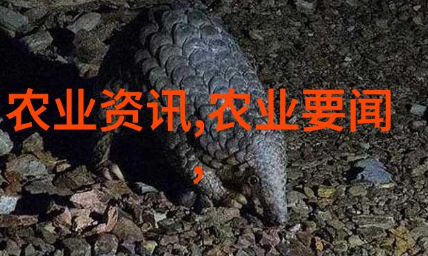空房变香园探索空房种植致富新项目的魅力与机遇