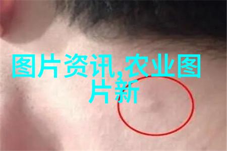 花香满堂家庭客厅中养植哪些花儿最受欢迎