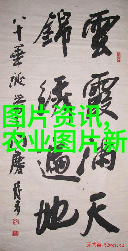 8月9月种植大作物选择哪些农作物最适合这段时期