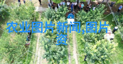 拖拉机老乡们的铁马