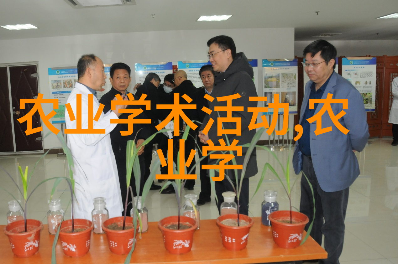 茶艺与养生-品茗益寿探秘茶叶的养生功效与作用