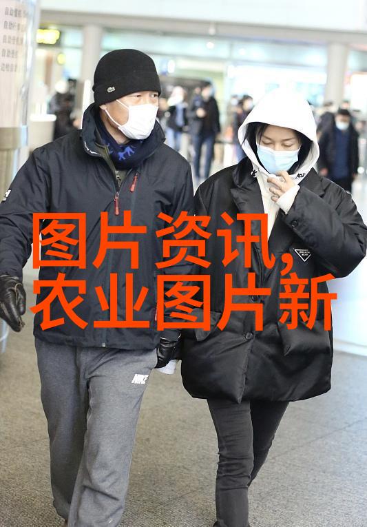 春意盎然的新贵2022年樱桃新品种的诞生与魅力