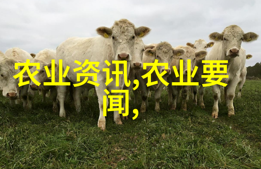 揭秘茶叶品种类型及用途