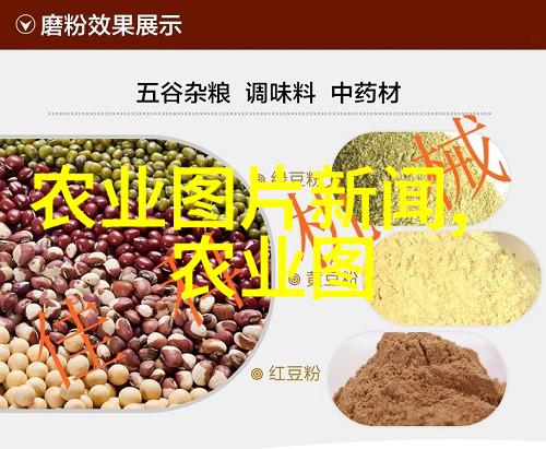 蚕业所育成一对抗NPV特殊蚕品种华康1号