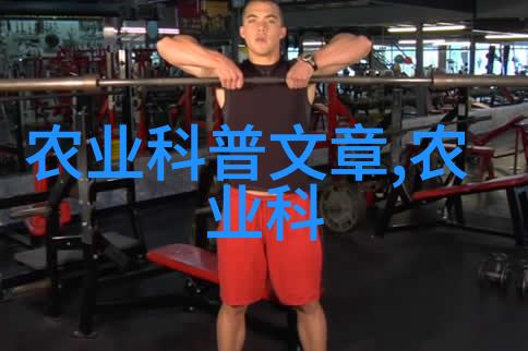 养蜂蜜蜂的艺术与科学精准引导蜂群繁荣