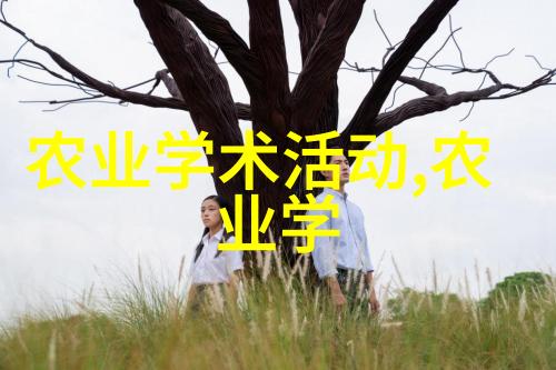 粮海之网农产品价格的抽象图景