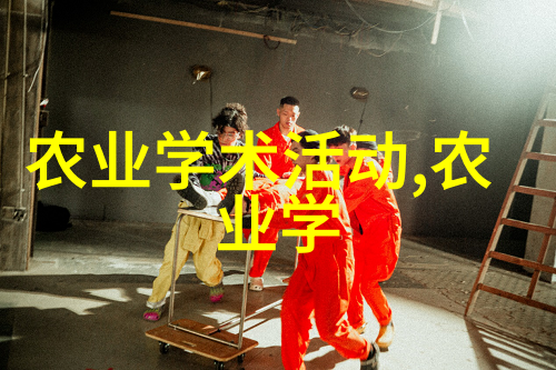 土鸡养殖技术视频实践与创新策略的综合分析