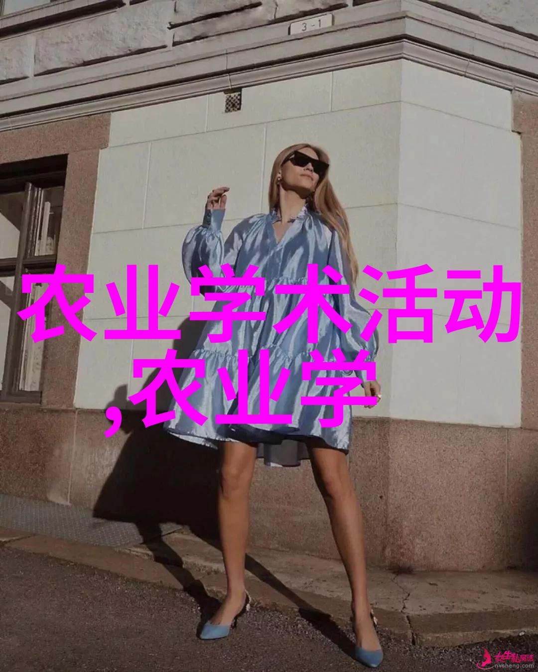 绿意盈盆室内植物艺术的十大杰作