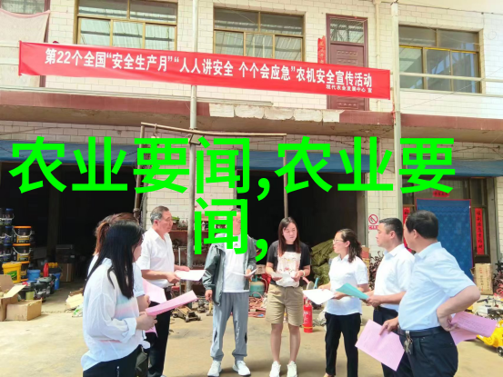 蔬菜新贵超市最新鲜货物价格揭秘