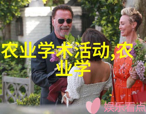 在选择红枫普洱等黑茶时我应该注意哪些因素来确保购买到优质产品