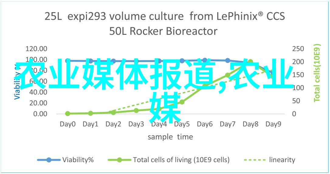 茼蒿荒野里的希望与绝望