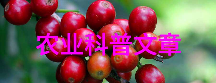 农业新闻稿范文300字_农业新闻2021_农业综合新闻