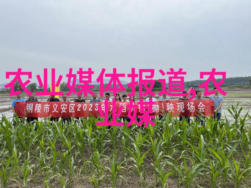 在这片土地上种下希望的种子需要哪些小农具图片才能成长为丰收的果实