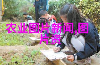高价值药材一年一收的珍稀草本
