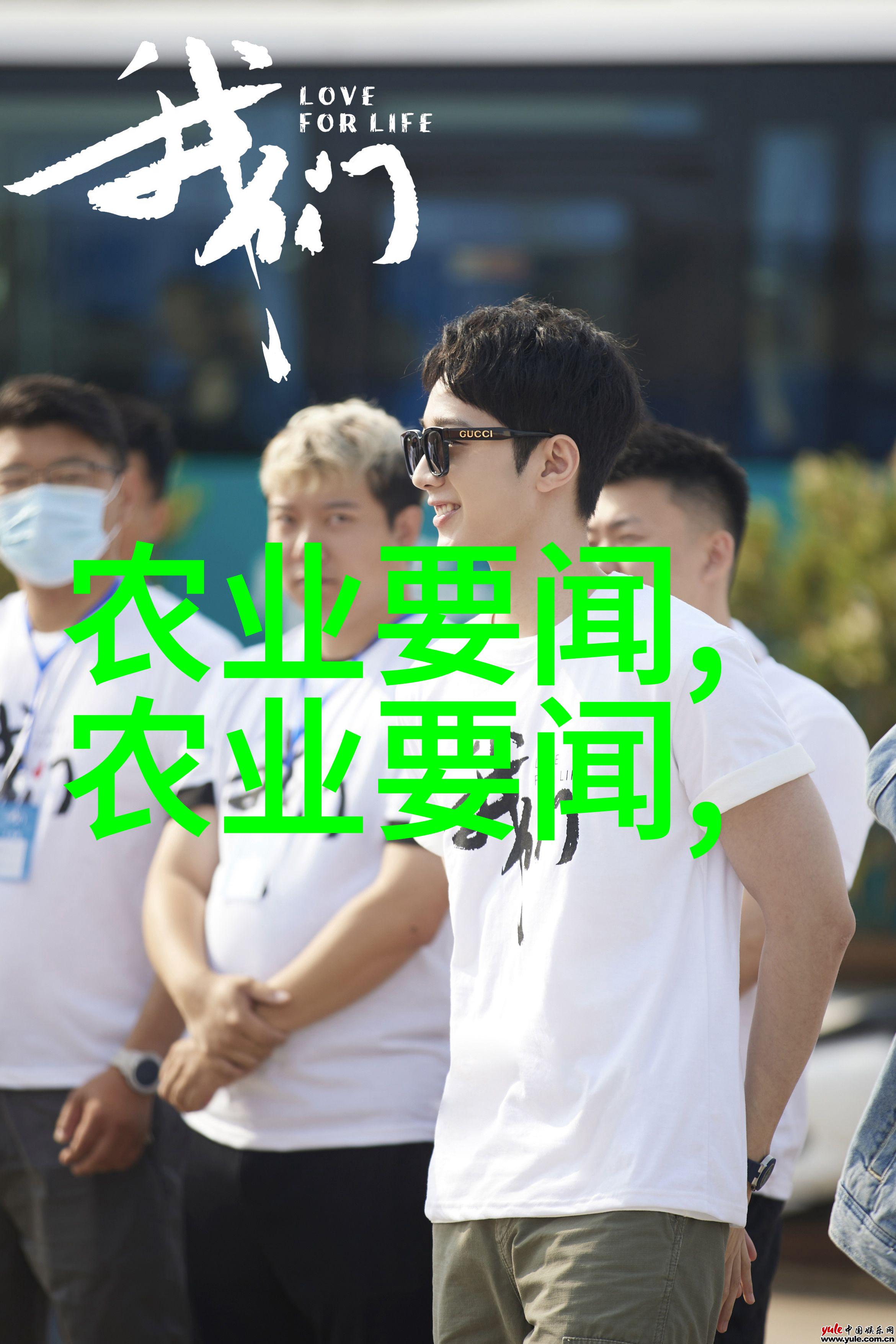 小规模家禽养殖的经济效益与管理技巧