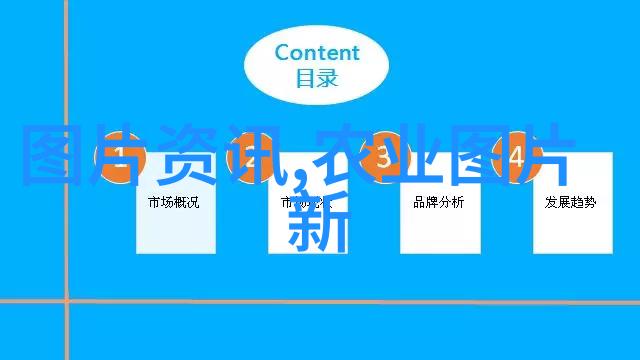 缅甸风云国会选举引发社会动荡